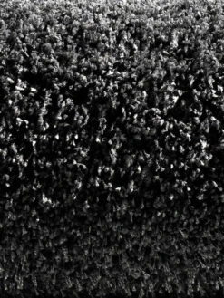 Hochflor-Teppich, Anthrazit -Teppiche Verkäufe 4334 16208 Halbrolle