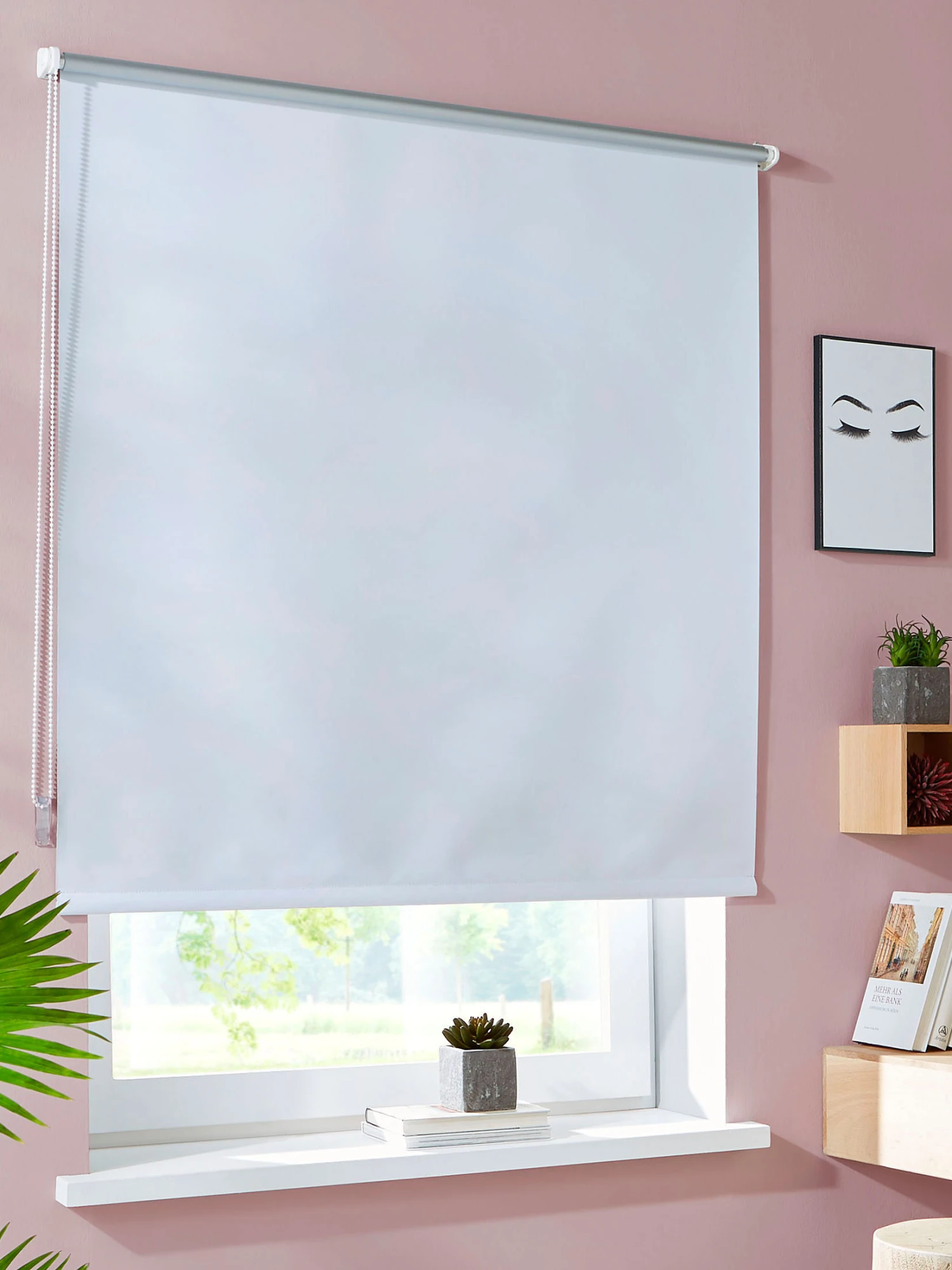 Rollo, Weiss 3 Rollo, Weiss