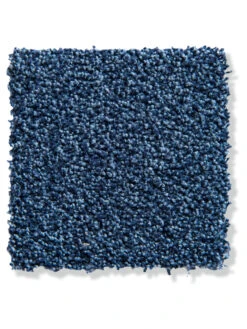 Velours-Teppichboden, Royal 710 -Teppiche Verkäufe Aberdeen Veloursteppichboden blau Royal710 lup