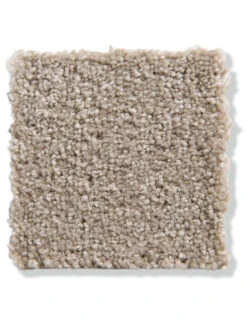 Velours-Teppichboden, Karamell 174 -Teppiche Verkäufe Balance Veloursteppichboden beige karamell174 lup2