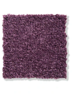 Velours-Teppichboden, Lavendel 115 8 Velours-Teppichboden, Lavendel 115 -Teppiche Verkäufe Balance Veloursteppichboden lila lavendel115 lup2