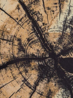 Leinwandbild, Dunkelgelb -Teppiche Verkäufe Baumstamm Leinwandbild braun Dunkelgelb 60x90 lup3