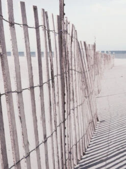 Leinwand Druck, Grau -Teppiche Verkäufe Beach Druck Grau 50x55 lup2