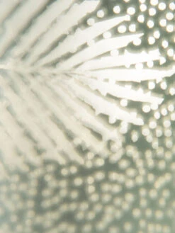 Teelichthalter, Hellgrün -Teppiche Verkäufe BlaetterLightUp Teelichthalter Hellgruen 12x12x18 lup2