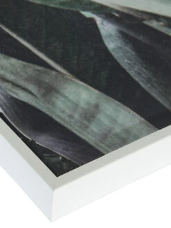 Leinwand-Druck-gerahmt, Grün -Teppiche Verkäufe Botanik Druckgerahmt Gruen 50x70 lup2