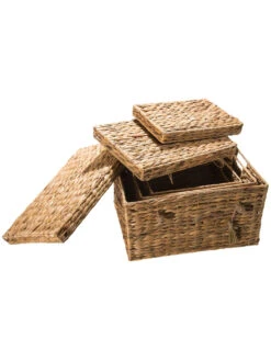 Box, Natur -Teppiche Verkäufe BoxTrunk Box Hellbraun Natur set2