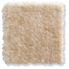 Velours-Teppichboden, Dünensand 33 -Teppiche Verkäufe Calvera Veloursteppichboden Beige Duenensand33 10x10 lup