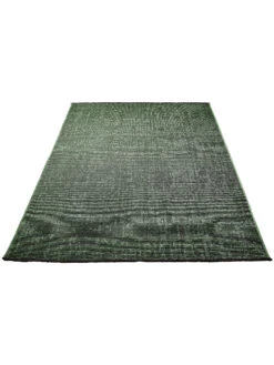 Moderner Teppich, Moosgrün -Teppiche Verkäufe Cardiff ModernerTeppich Gruen Moosgruen 160x230 fper