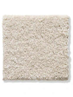 Velours-Teppichboden, Creme 35 5 Velours-Teppichboden, Creme 35 -Teppiche Verkäufe Cirella VeloursTeppichboden Beige Creme35 10x10 lup202