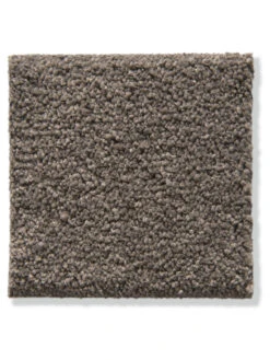 Velours-Teppichboden, Mocca 47 -Teppiche Verkäufe Cirella VeloursTeppichboden Braun Mocca47 10x10 lup