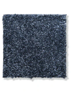 Velours-Teppichboden, Marine 74 -Teppiche Verkäufe Cirella VeloursTeppichboden Dunkelblau Marine74 10x10 lup