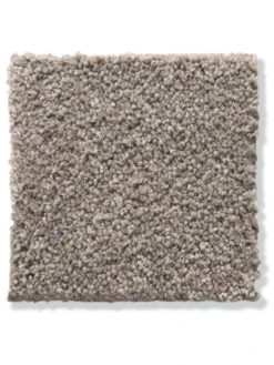 Velours-Teppichboden, Latte Macchiato 43 -Teppiche Verkäufe Cirella VeloursTeppichboden Hellbraun LatteMacchiato43 10x10 lup