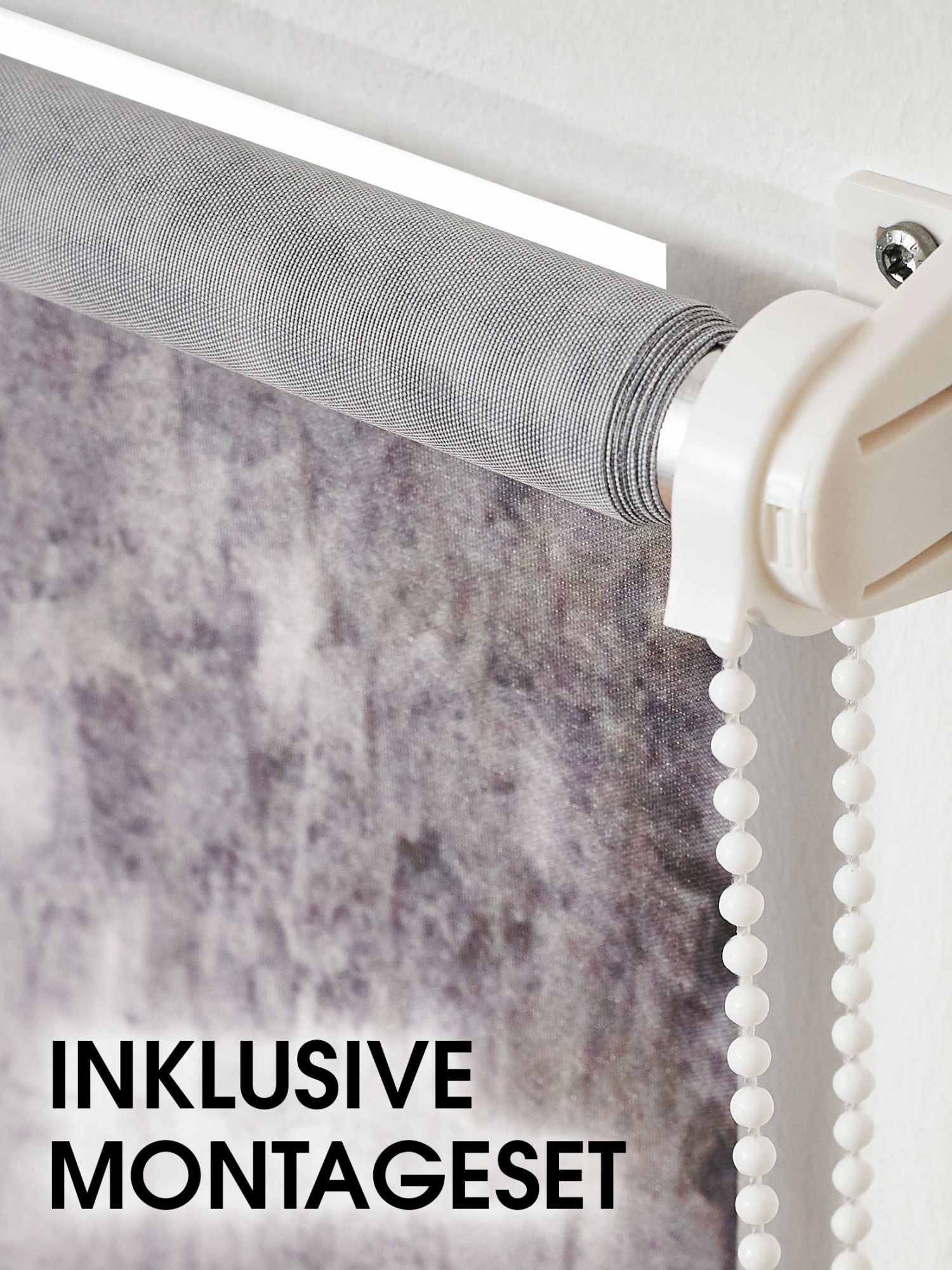 Rollo, Paris 5 Rollo, Paris – Bild 3