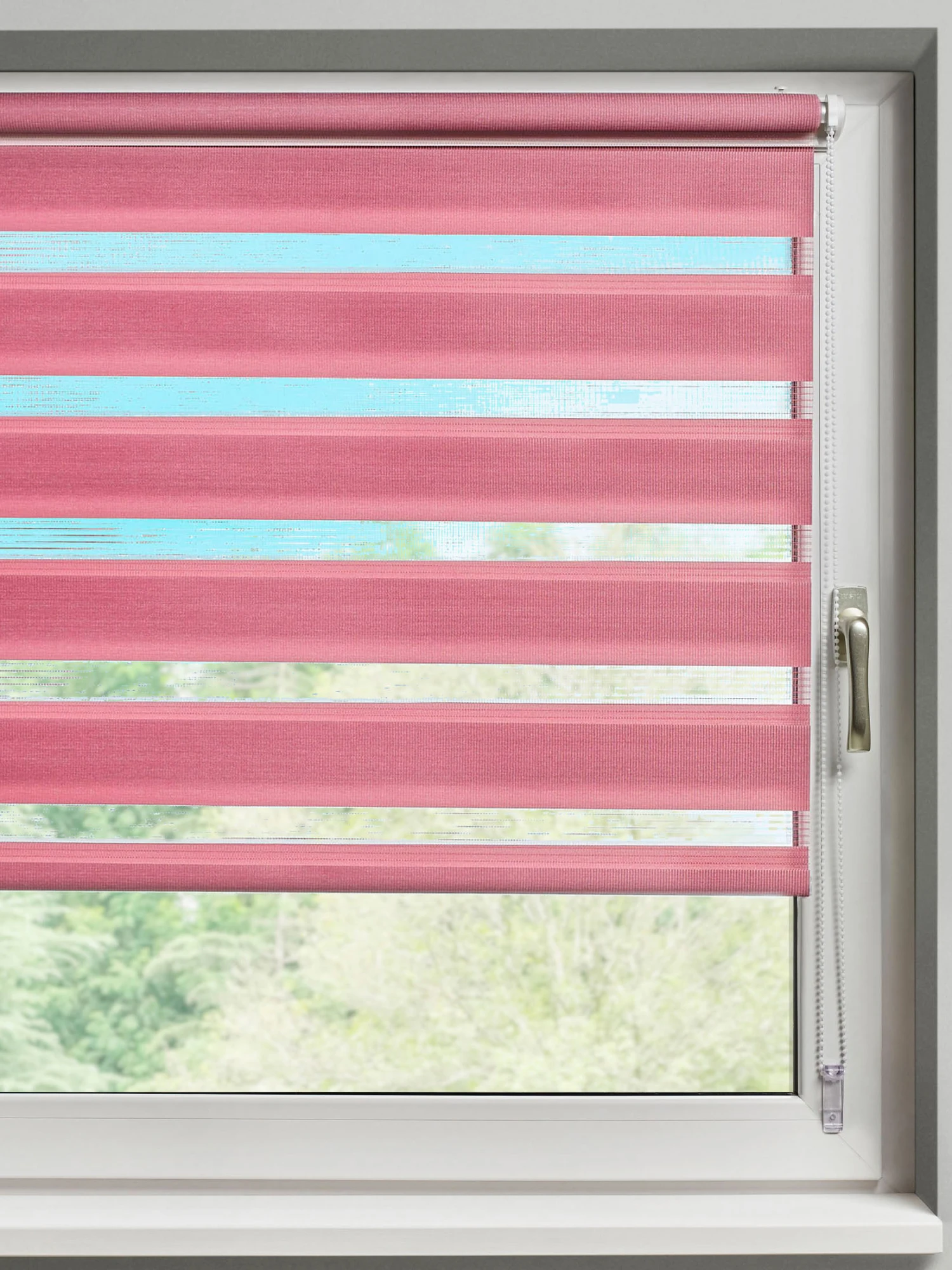 Rollo, Beere 4 Rollo, Beere – Bild 2