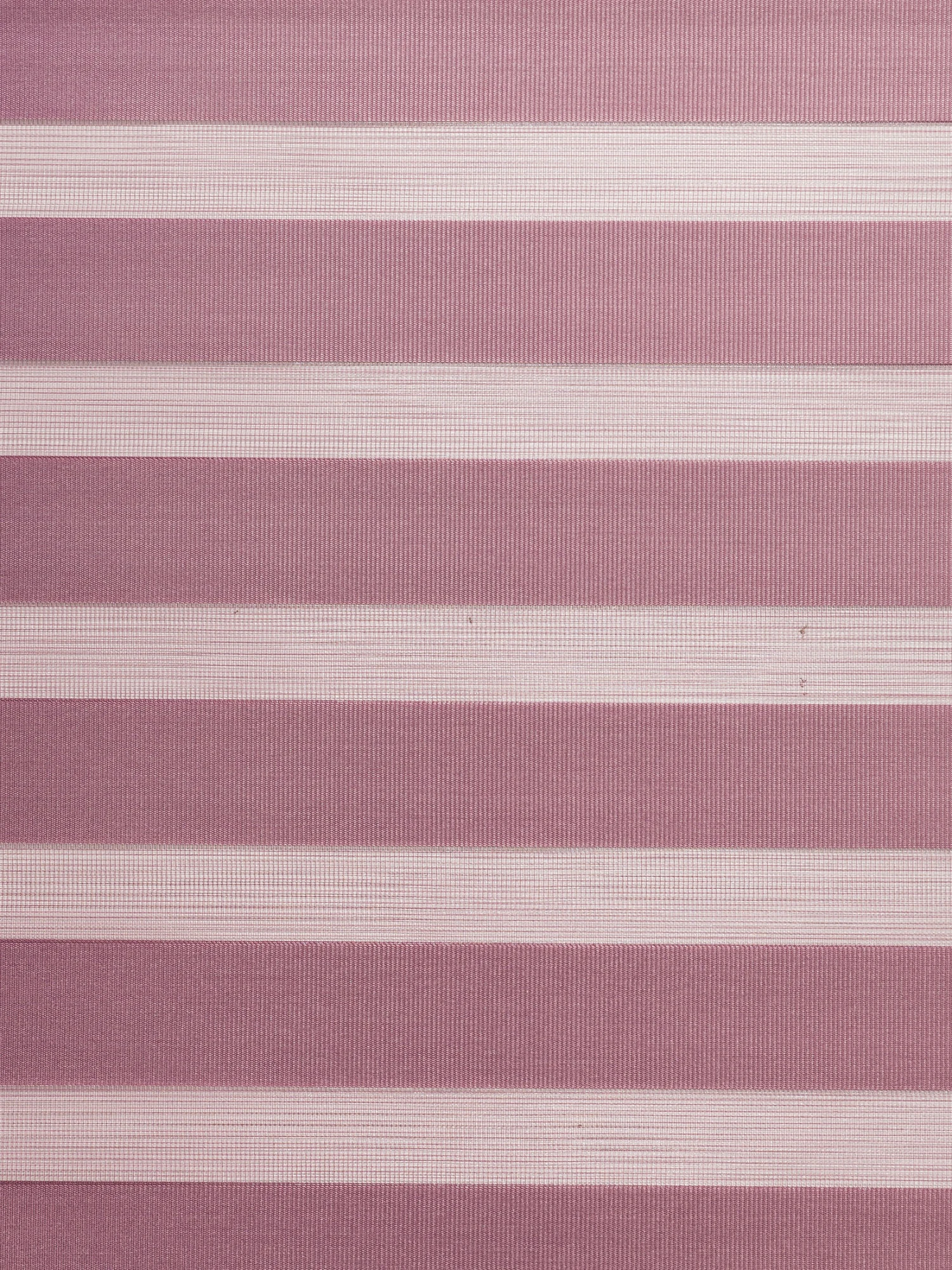 Rollo, Beere 5 Rollo, Beere – Bild 3