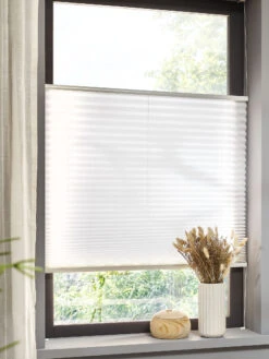 Plissee, Creme/Beige