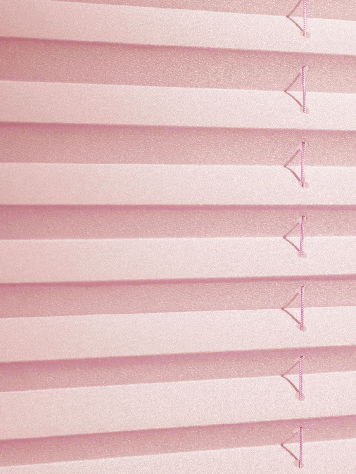 Plissee, Rosé 4 Plissee, Rosé – Bild 2