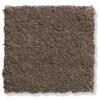 Velours-Teppichboden, Taupe 76 -Teppiche Verkäufe Edinburgh Veloursteppichboden dunkelbraun silver76 lup