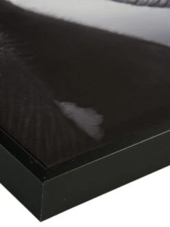 Leinwand-Druck-gerahmt, Schwarz -Teppiche Verkäufe ElephantBaby Druckgerahmt Grau Schwarz 60x60 lup2