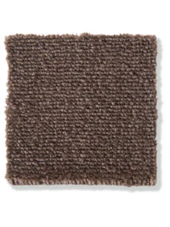 Velours-Teppichboden, Muskat 44 8 Velours-Teppichboden, Muskat 44 -Teppiche Verkäufe Emotion Veloursteppichboden dunkelbraun muskat44 lup2