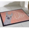 Fußmatte, Hello Lama 2 Fußmatte, Hello Lama -Teppiche Verkäufe Fashion Fussmatte rosa HelloLama 50x80 mil