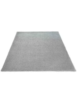 Hochflor-Teppich, Light Grey -Teppiche Verkäufe Fiesta HochflorTeppich Hellgrau LightGrey 160x230 fper