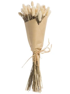Trockenblume, Beige -Teppiche Verkäufe Flowerbouquet Trockenblume Beige 40 pla2