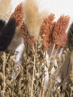 Trockenblume, Multicolor -Teppiche Verkäufe Flowerbouquet Trockenblume Mehrfarbig Multicolor 40 lup