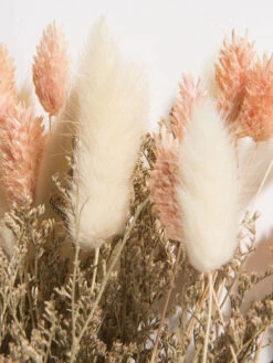 Trockenblume, Beige/Rosa -Teppiche Verkäufe Flowerbouquet Trockenblume Rosa BeigeRosa 40 lup