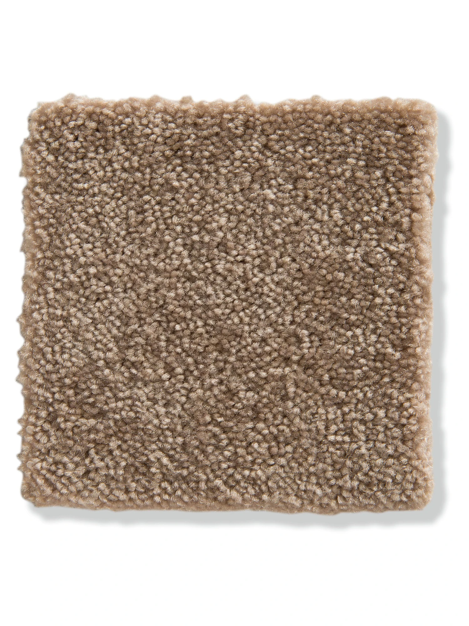 Velours-Teppichboden, Ivory 4 Velours-Teppichboden, Ivory – Bild 2