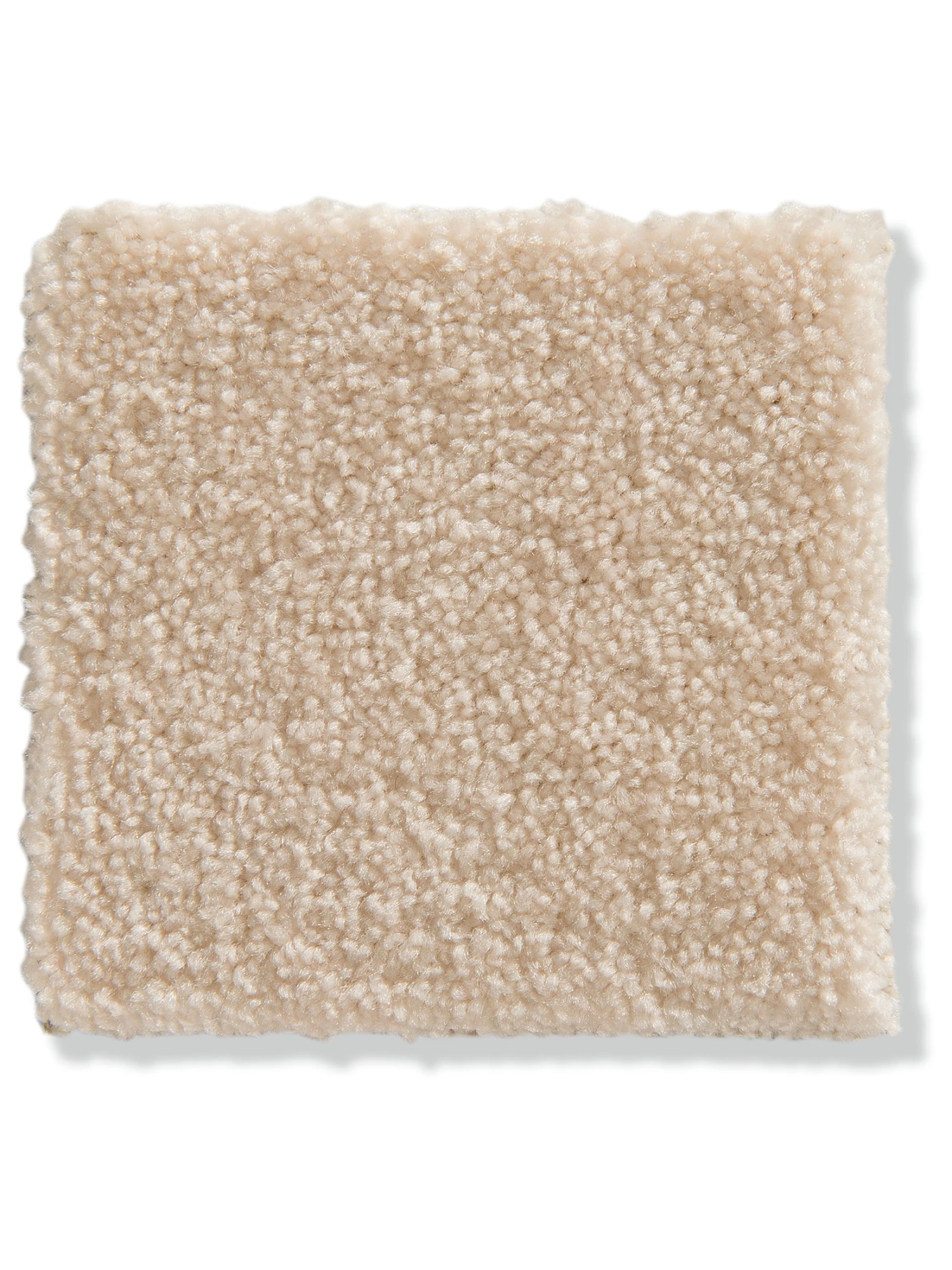 Velours-Teppichboden, Elfenbein 4 Velours-Teppichboden, Elfenbein – Bild 2