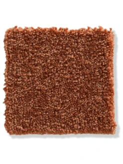 Velours-Teppichboden, Peach 5 Velours-Teppichboden, Peach -Teppiche Verkäufe GreenLine VeloursTeppichboden Orange Peach 330 lup