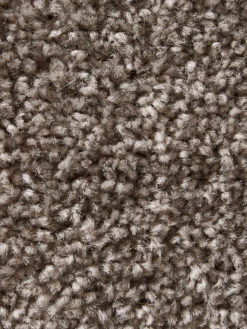 Uni-Teppich, Taupe -Teppiche Verkäufe Hardy Hochflorteppich Braun Taupe 160x230 lup