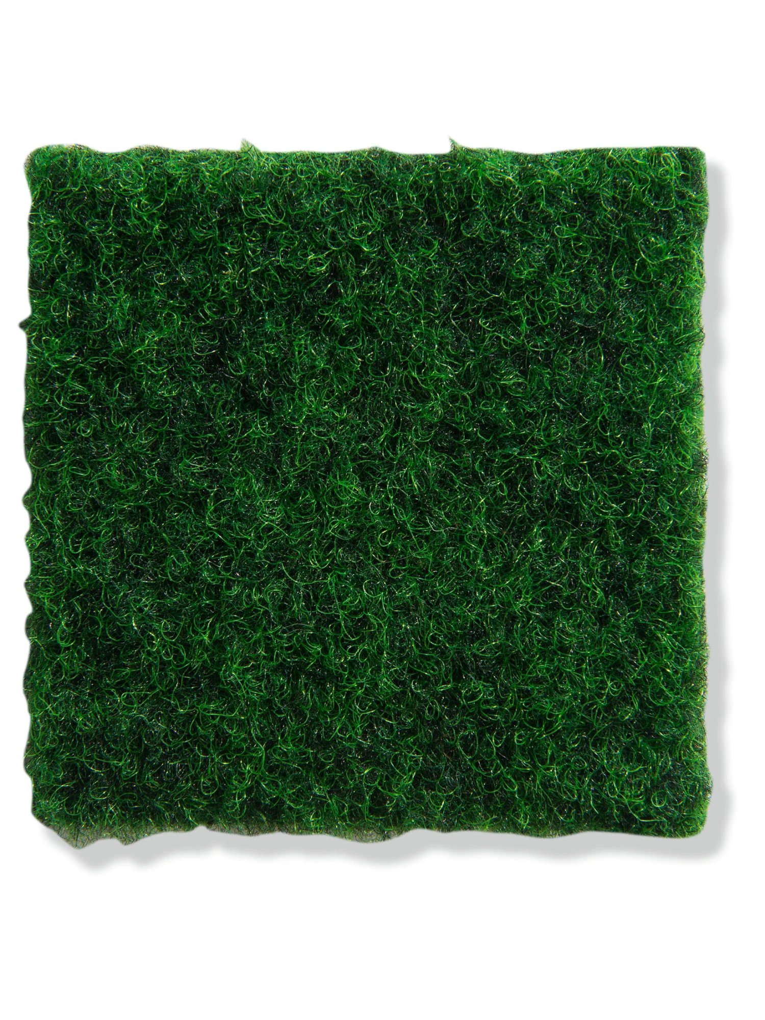 Rasen-Teppichboden, Moos 3 Rasen-Teppichboden, Moos