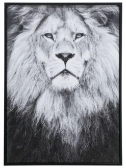 Leinwand-Druck-gerahmt, Schwarz/Grau -Teppiche Verkäufe KingLeo Druckgerahmt Grau SchwarzGrau 50x70 pla