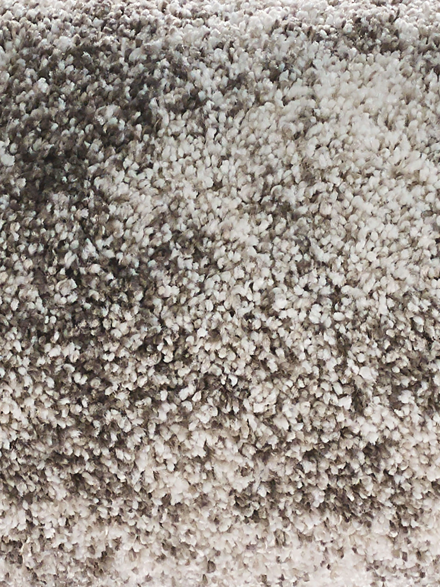 Läufer, Arcus 6 Läufer, Arcus – Bild 4