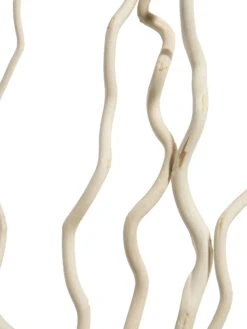 Trockenblume, Weiss -Teppiche Verkäufe Kuwastaebe Trockenblume Weiss 80cm lup