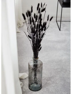 Trockenblume, Schwarz -Teppiche Verkäufe Lagurus Trockenblume Schwarz 75cm mil