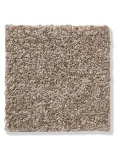 Velours-Teppichboden, Mandel 76 -Teppiche Verkäufe Lancaster Veloursteppichboden braun mandel76 lup