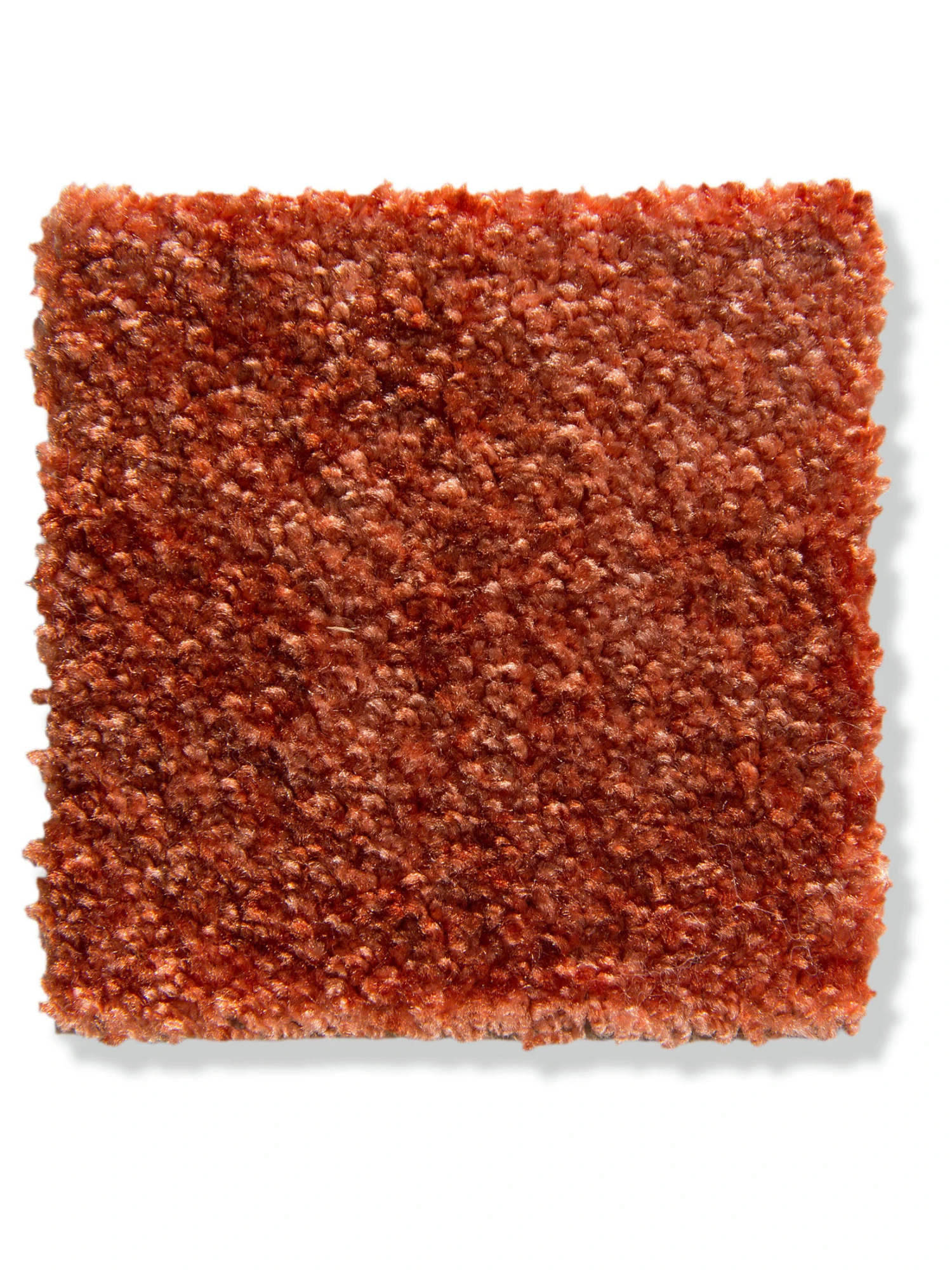 Velours-Teppichboden, Terra 84 4 Velours-Teppichboden, Terra 84 – Bild 2