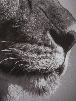 Leinwand-Druck-gerahmt, Dunkelgrau -Teppiche Verkäufe Lionhead Druckgerahmt Grau Dunkelgrau 50x70 lup