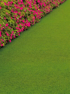 Rasen-Teppichboden, Light Green