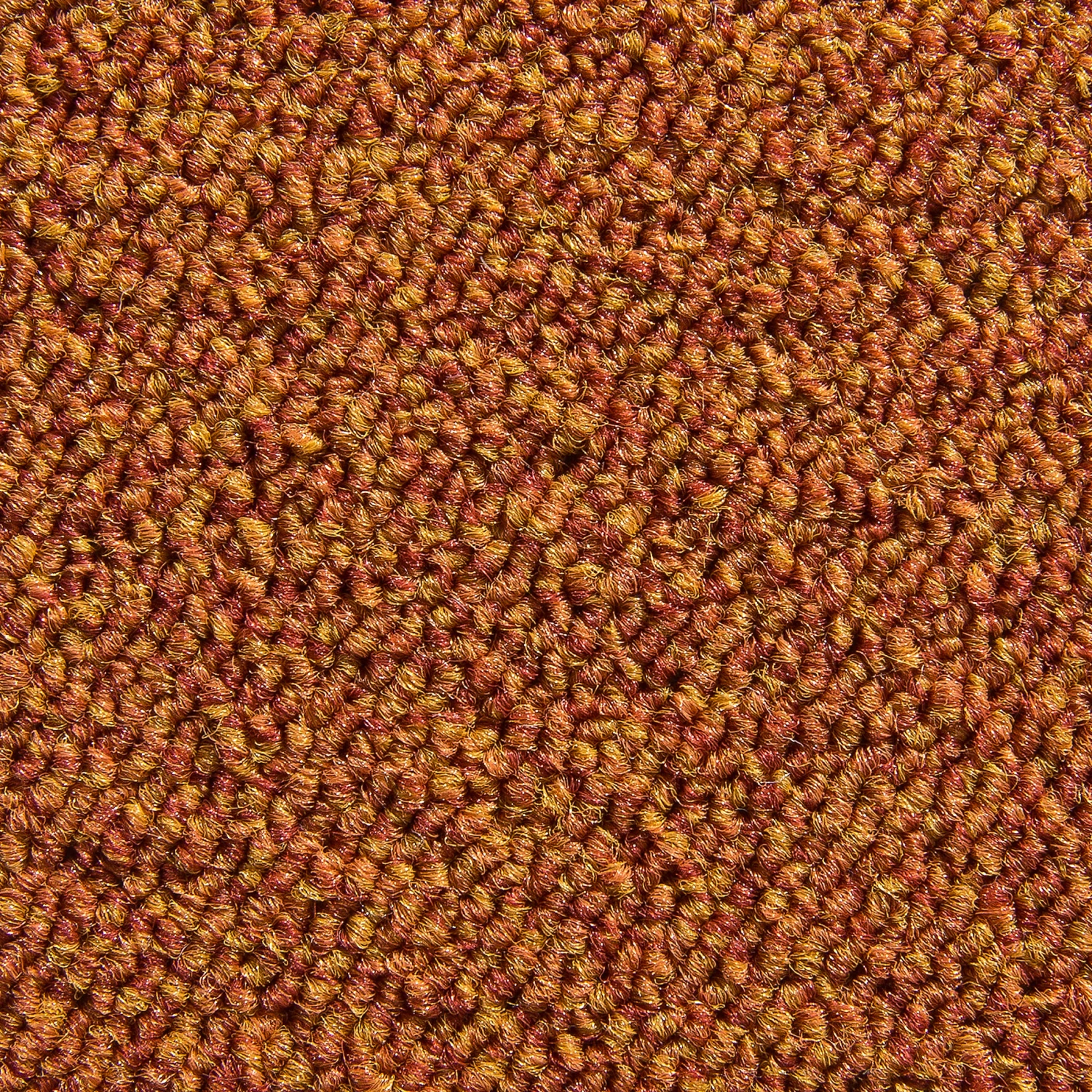 Schlingen-Teppichboden, Terra 4 Schlingen-Teppichboden, Terra – Bild 2