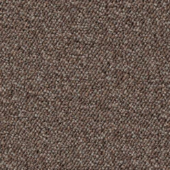 Schlingen-Teppichboden, Hellbraun 37 7 Schlingen-Teppichboden, Hellbraun 37 -Teppiche Verkäufe Optimal Schlingenteppichboden hellbraun 37 lup1