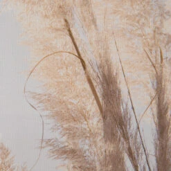 Leinwand-Druck-gerahmt, Weiss -Teppiche Verkäufe PampasWind Druckgerahmt Beige Weiss 52x72 lup