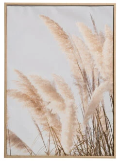 Leinwand-Druck-gerahmt, Weiss -Teppiche Verkäufe PampasWind Druckgerahmt Beige Weiss 52x72 pla