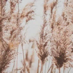 Leinwand-Druck-gerahmt, Dunkelbeige 9 Leinwand-Druck-gerahmt, Dunkelbeige -Teppiche Verkäufe Parat Druckgerahmt Beige Dunkelbeige 52x72 lup