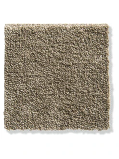 Velours-Teppichboden, Cappuccino 92 -Teppiche Verkäufe Parma Veloursteppichboden Beige Cappuccino492 lup