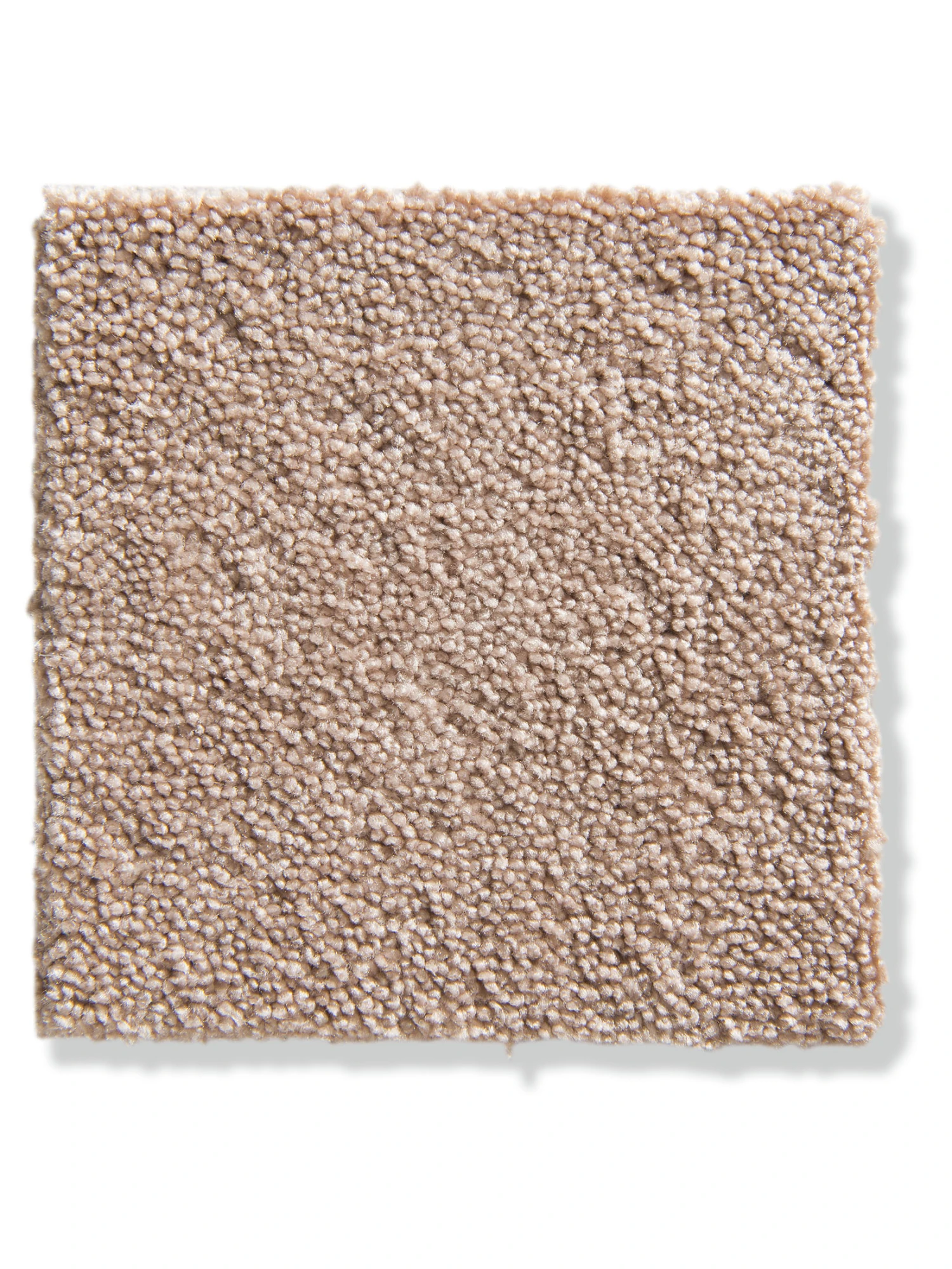 Velours-Teppichboden, Rose 12 3 Velours-Teppichboden, Rose 12