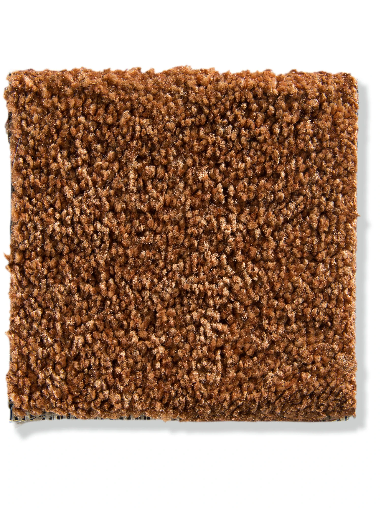 Velours-Teppichboden, Terra 4 Velours-Teppichboden, Terra – Bild 2